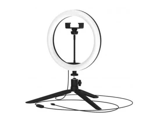 Gauss Кольцевой светодиодный светильник Ø 26см арт. RL002 светильник