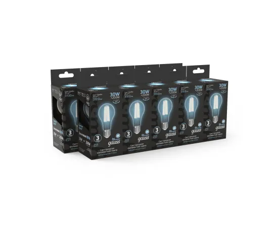 Фото Лампа Gauss Filament А70 30W 3100lm 4100К Е27 LED арт. 102902230 Фото Лампа Gauss Filament А70 30W 3100lm 4100К Е27 LED арт. 102902230