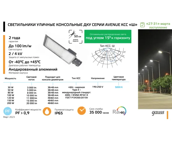 Фото Светильник Уличный Gauss LED Avenue IP65 420*160*57 100W 10000lm 5000K 190-250V КСС "Ш" 1/10 629534300