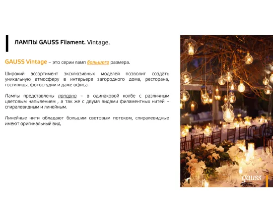 Фото Лампа Gauss Filament G125 6W 360lm 2400К Е27 golden flexible LED 1/20 Артикул: 158802008